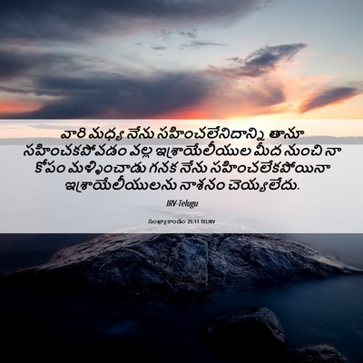 Picture 06 - సంఖ్యాకాండం 25:11 TELIRV - వారి మధ్య నేను - Bible Verse Picture