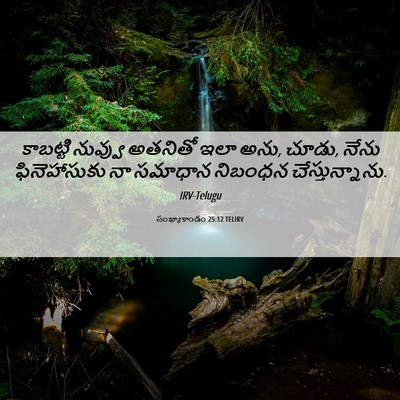 Picture 06 - సంఖ్యాకాండం 25:12 TELIRV - కాబట్టి నువ్వు - Bible Verse Picture