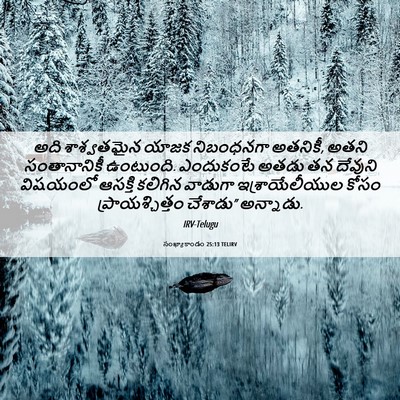 Picture 06 - సంఖ్యాకాండం 25:13 TELIRV - అది శాశ్వతమైన - Bible Verse Picture