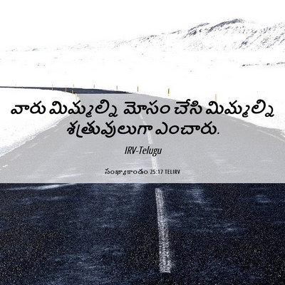 Picture 06 - సంఖ్యాకాండం 25:17 TELIRV - వారు మిమ్మల్ని - Bible Verse Picture