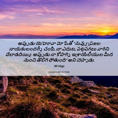 Picture 06 - సంఖ్యాకాండం 25:4 TELIRV - అప్పుడు యెహోవా - Bible Verse Picture