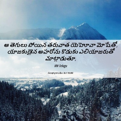 Picture 06 - సంఖ్యాకాండం 26:1 TELIRV - ఆ తెగులు పోయిన - Bible Verse Picture