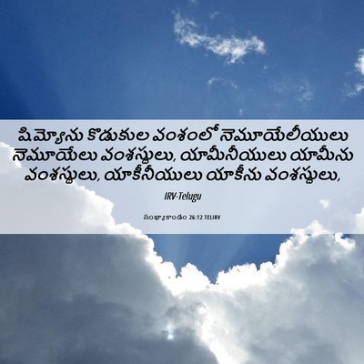 Picture 06 - సంఖ్యాకాండం 26:12 TELIRV - షిమ్యోను కొడుకుల - Bible Verse Picture