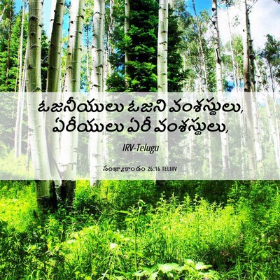 Picture 06 - సంఖ్యాకాండం 26:16 TELIRV - ఓజనీయులు ఓజని - Bible Verse Picture
