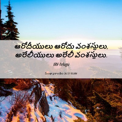 Picture 06 - సంఖ్యాకాండం 26:17 TELIRV - ఆరోదీయులు ఆరోదు - Bible Verse Picture