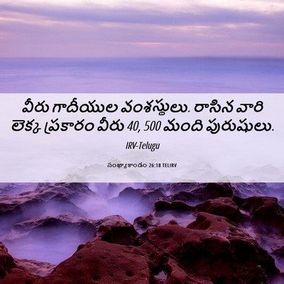 Picture 06 - సంఖ్యాకాండం 26:18 TELIRV - వీరు గాదీయుల - Bible Verse Picture