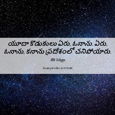 Picture 06 - సంఖ్యాకాండం 26:19 TELIRV - యూదా కొడుకులు ఏరు, - Bible Verse Picture