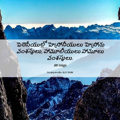 Picture 06 - సంఖ్యాకాండం 26:21 TELIRV - పెరెసీయుల్లో - Bible Verse Picture