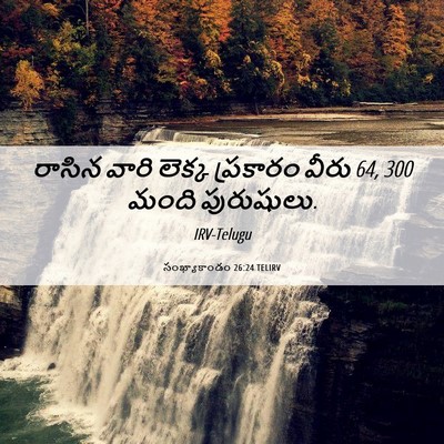 Picture 06 - సంఖ్యాకాండం 26:24 TELIRV - రాసిన వారి లెక్క - Bible Verse Picture