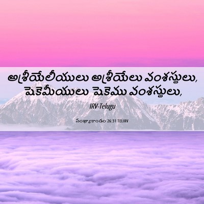 Picture 06 - సంఖ్యాకాండం 26:31 TELIRV - అశ్రీయేలీయులు - Bible Verse Picture