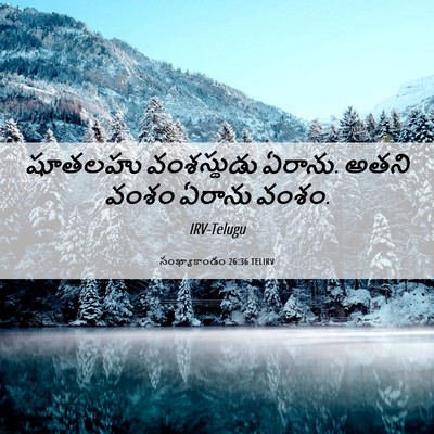 Picture 06 - సంఖ్యాకాండం 26:36 TELIRV - షూతలహు వంశస్థుడు - Bible Verse Picture