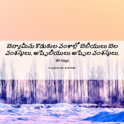 Picture 06 - సంఖ్యాకాండం 26:38 TELIRV - బెన్యామీను - Bible Verse Picture