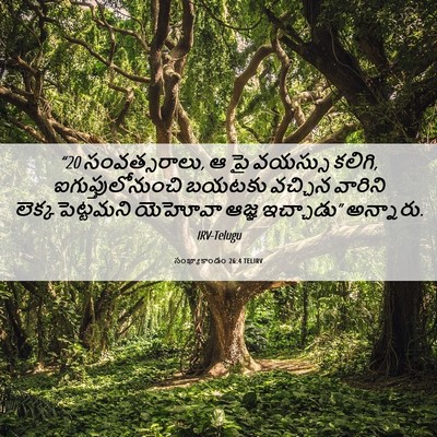 Picture 06 - సంఖ్యాకాండం 26:4 TELIRV - “20 సంవత్సరాలు, ఆ పై - Bible Verse Picture