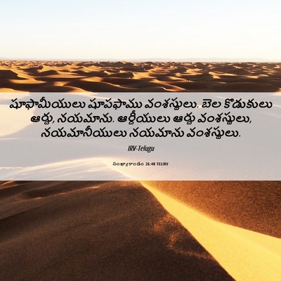 Picture 06 - సంఖ్యాకాండం 26:40 TELIRV - షూఫామీయులు - Bible Verse Picture