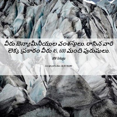 Picture 06 - సంఖ్యాకాండం 26:41 TELIRV - వీరు - Bible Verse Picture