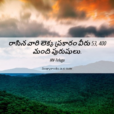 Picture 06 - సంఖ్యాకాండం 26:47 TELIRV - రాసిన వారి లెక్క - Bible Verse Picture