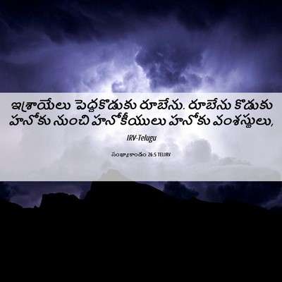 Picture 06 - సంఖ్యాకాండం 26:5 TELIRV - ఇశ్రాయేలు - Bible Verse Picture