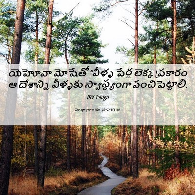 Picture 06 - సంఖ్యాకాండం 26:52 TELIRV - యెహోవా మోషేతో - Bible Verse Picture