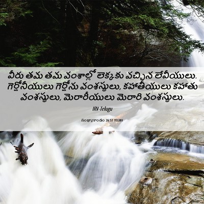 Picture 06 - సంఖ్యాకాండం 26:57 TELIRV - వీరు తమ తమ - Bible Verse Picture