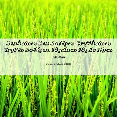 Picture 06 - సంఖ్యాకాండం 26:6 TELIRV - పల్లువీయులు పల్లు - Bible Verse Picture