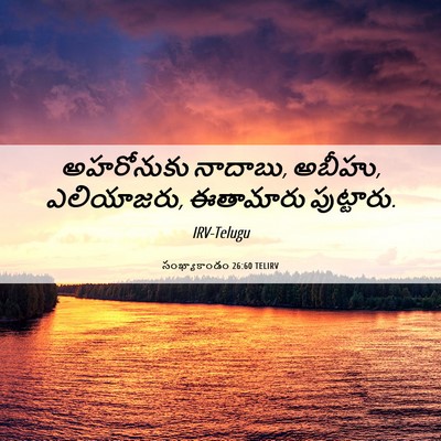 Picture 06 - సంఖ్యాకాండం 26:60 TELIRV - అహరోనుకు నాదాబు, - Bible Verse Picture