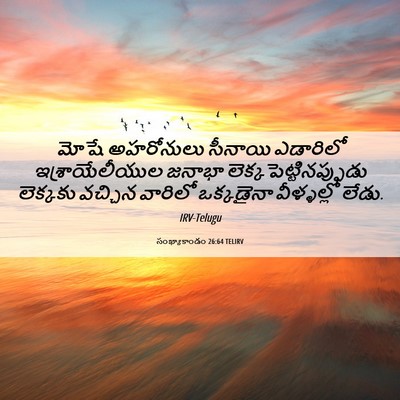 Picture 06 - సంఖ్యాకాండం 26:64 TELIRV - మోషే అహరోనులు - Bible Verse Picture