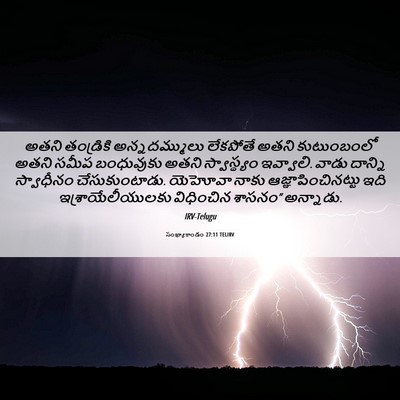 Picture 06 - సంఖ్యాకాండం 27:11 TELIRV - అతని తండ్రికి - Bible Verse Picture