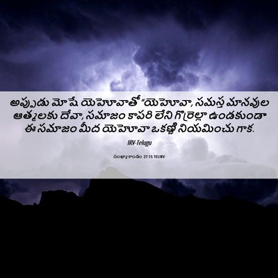 Picture 06 - సంఖ్యాకాండం 27:15 TELIRV - అప్పుడు మోషే - Bible Verse Picture