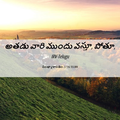 Picture 06 - సంఖ్యాకాండం 27:16 TELIRV - అతడు వారి ముందు - Bible Verse Picture