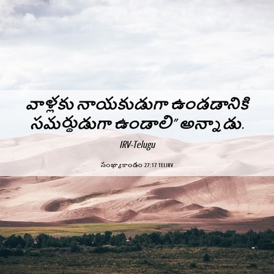 Picture 06 - సంఖ్యాకాండం 27:17 TELIRV - వాళ్లకు నాయకుడుగా - Bible Verse Picture