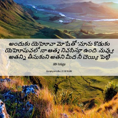 Picture 06 - సంఖ్యాకాండం 27:18 TELIRV - అందుకు యెహోవా - Bible Verse Picture