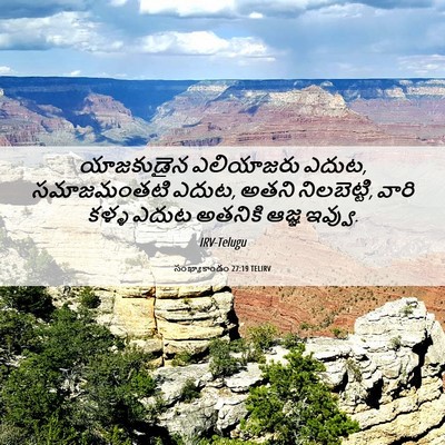 Picture 06 - సంఖ్యాకాండం 27:19 TELIRV - యాజకుడైన ఎలియాజరు - Bible Verse Picture