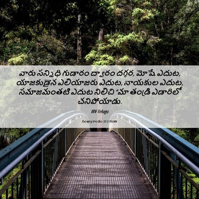 Picture 06 - సంఖ్యాకాండం 27:2 TELIRV - వారు సన్నిధి - Bible Verse Picture