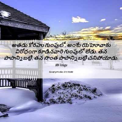 Picture 06 - సంఖ్యాకాండం 27:3 TELIRV - అతడు కోరహు - Bible Verse Picture