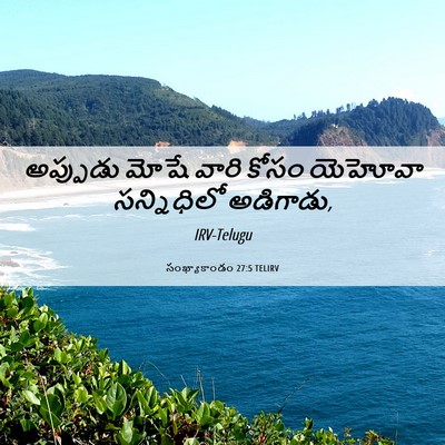 Picture 06 - సంఖ్యాకాండం 27:5 TELIRV - అప్పుడు మోషే వారి - Bible Verse Picture