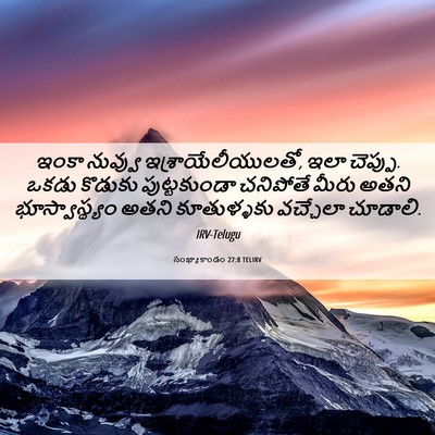 Picture 06 - సంఖ్యాకాండం 27:8 TELIRV - ఇంకా నువ్వు - Bible Verse Picture