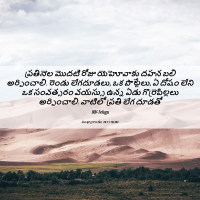Picture 06 - సంఖ్యాకాండం 28:11 TELIRV - ప్రతినెల మొదటి - Bible Verse Picture