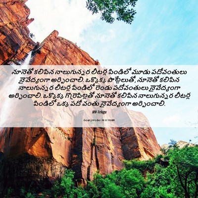 Picture 06 - సంఖ్యాకాండం 28:12 TELIRV - నూనెతో కలిపిన - Bible Verse Picture