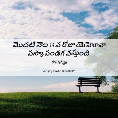 Picture 06 - సంఖ్యాకాండం 28:16 TELIRV - మొదటి నెల 14 వ రోజు - Bible Verse Picture