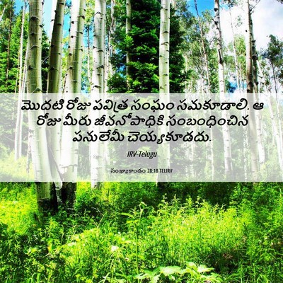 Picture 06 - సంఖ్యాకాండం 28:18 TELIRV - మొదటి రోజు పవిత్ర - Bible Verse Picture