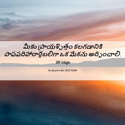 Picture 06 - సంఖ్యాకాండం 28:22 TELIRV - మీకు - Bible Verse Picture