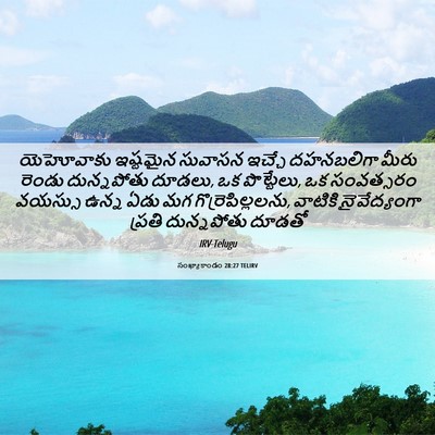 Picture 06 - సంఖ్యాకాండం 28:27 TELIRV - యెహోవాకు ఇష్టమైన - Bible Verse Picture