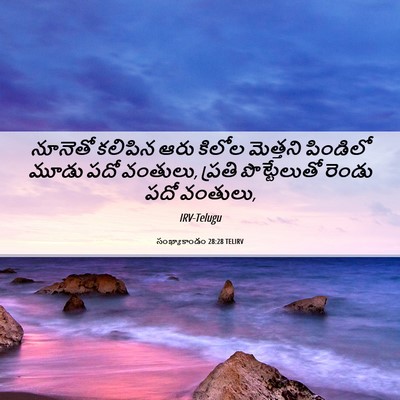Picture 06 - సంఖ్యాకాండం 28:28 TELIRV - నూనెతో కలిపిన ఆరు - Bible Verse Picture