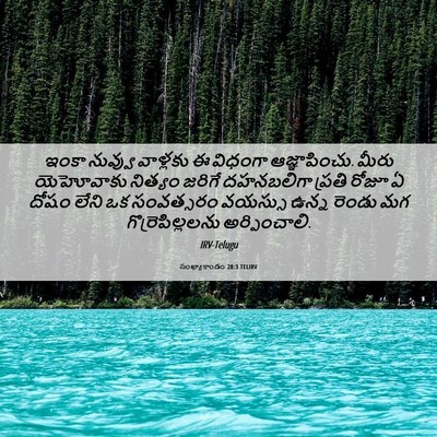 Picture 06 - సంఖ్యాకాండం 28:3 TELIRV - ఇంకా నువ్వు - Bible Verse Picture