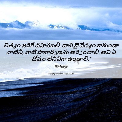 Picture 06 - సంఖ్యాకాండం 28:31 TELIRV - నిత్యం జరిగే - Bible Verse Picture