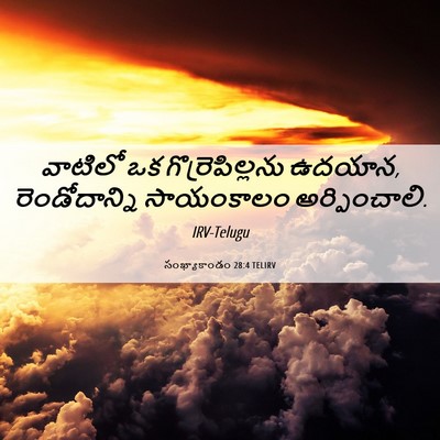Picture 06 - సంఖ్యాకాండం 28:4 TELIRV - వాటిలో ఒక - Bible Verse Picture