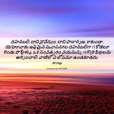 Picture 06 - సంఖ్యాకాండం 29:13 TELIRV - దహనబలి, దాని - Bible Verse Picture