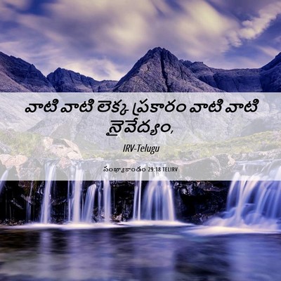 Picture 06 - సంఖ్యాకాండం 29:18 TELIRV - వాటి వాటి లెక్క - Bible Verse Picture