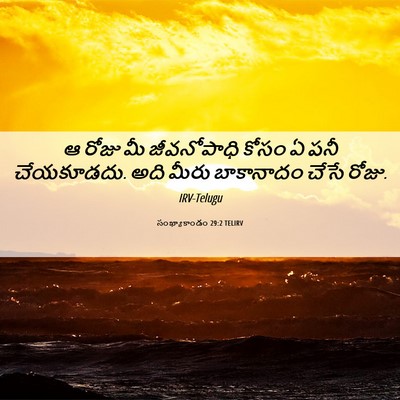 Picture 06 - సంఖ్యాకాండం 29:2 TELIRV - ఆ రోజు మీ - Bible Verse Picture
