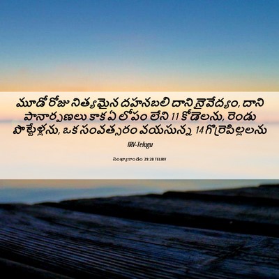 Picture 06 - సంఖ్యాకాండం 29:20 TELIRV - మూడో రోజు - Bible Verse Picture